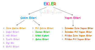 İsimden İsim Yapan Ekler ve 20 Tane Örnek Kelimeler