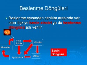 www.erguven.net-dUnya_Sekilleri_(33)